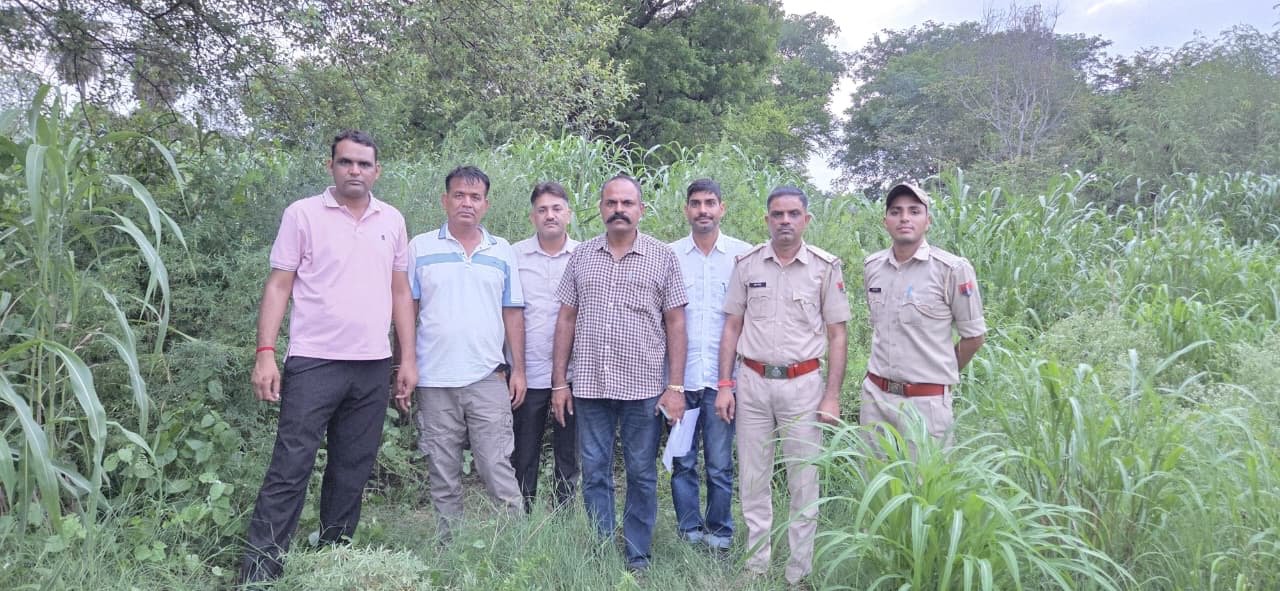 अवैध गांजे की खेती का भांडाफोड़, 340 गांजे के पौधे बरामद
