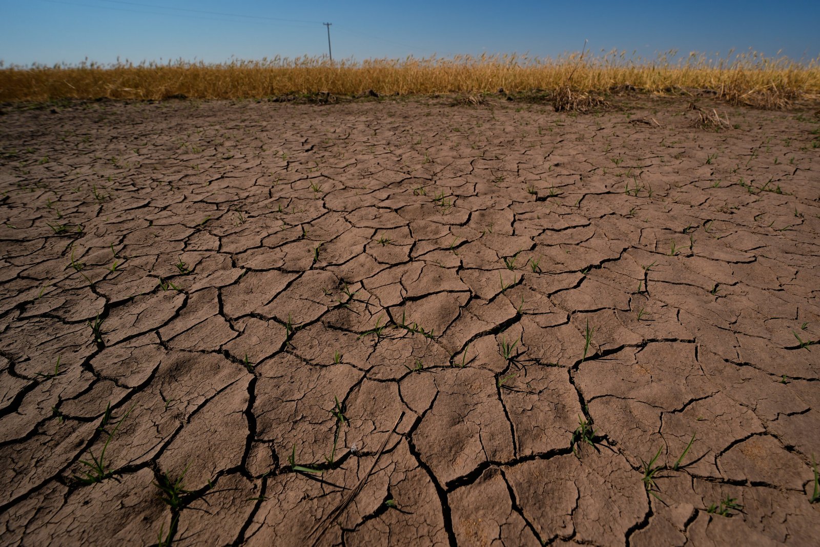 El Nino Is Here and Scientists Fear It’ll Bring Costly Heat, Floods, Droughts, Fires